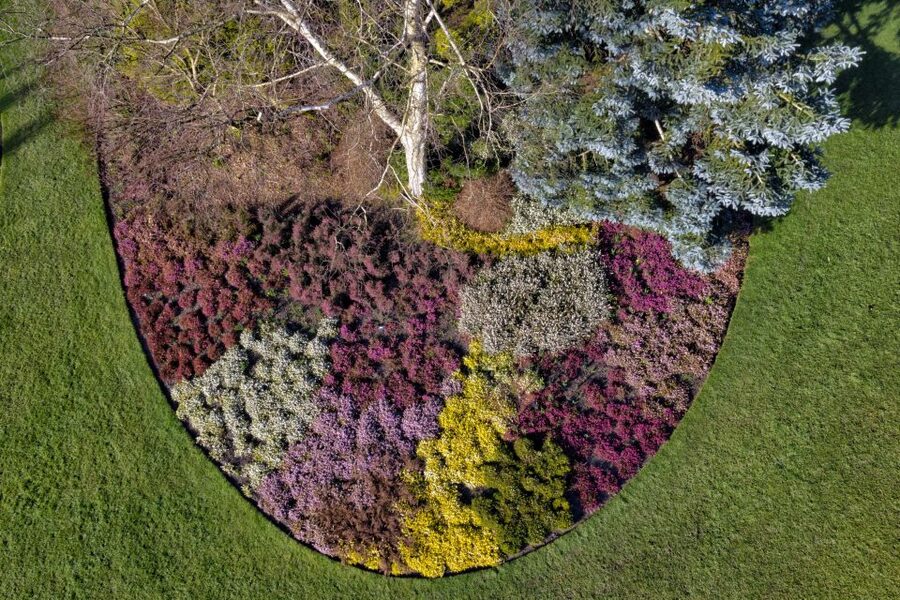 Royal Horticultural Society: Harlow Carr Garden Ticket - From local sandstone to heather beds