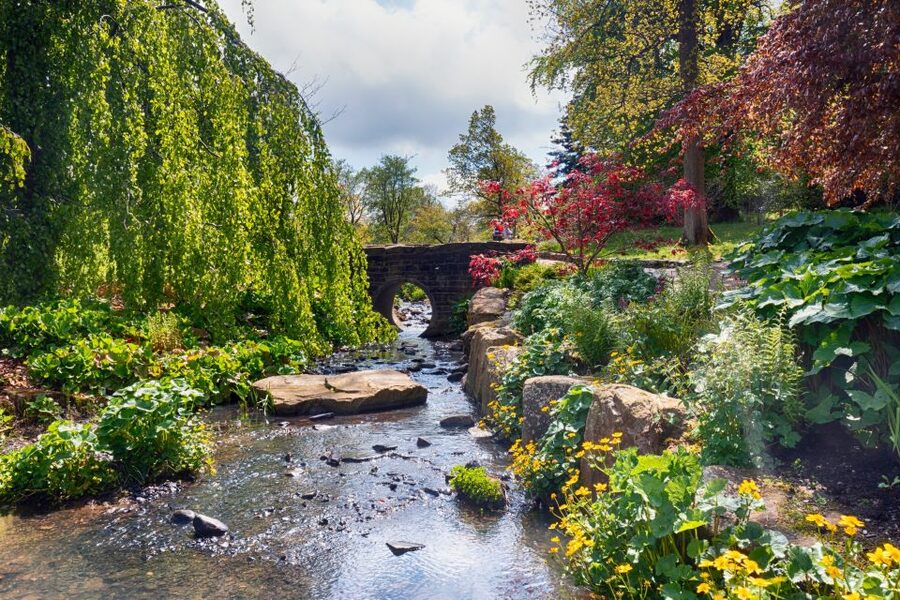 Royal Horticultural Society: Harlow Carr Garden Ticket - Queen Mother’s Lake and the redwood walk