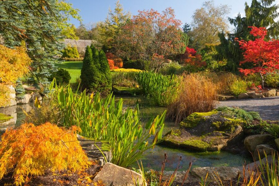 Royal Horticultural Society: Harlow Carr Garden Ticket - Seasonal interest and the best time to visit