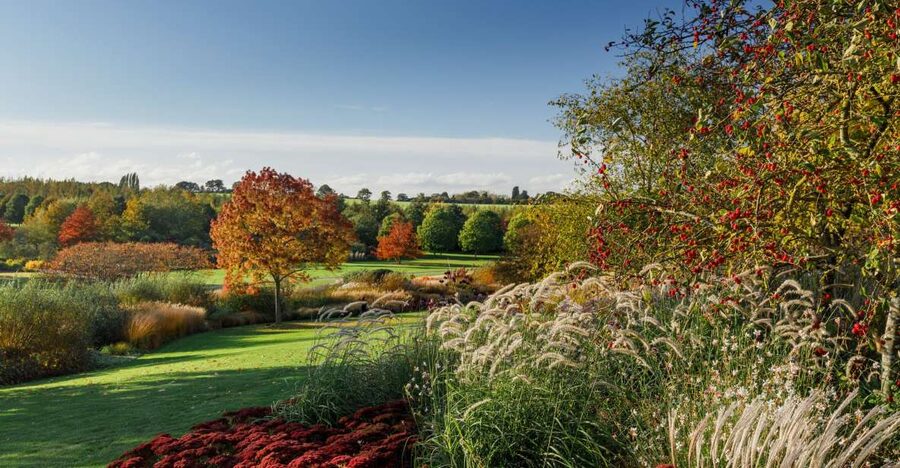 Royal Horticultural Society: Hyde Hall Garden Ticket - Rose Garden, Rope Rose Walk, and Seasonal Color