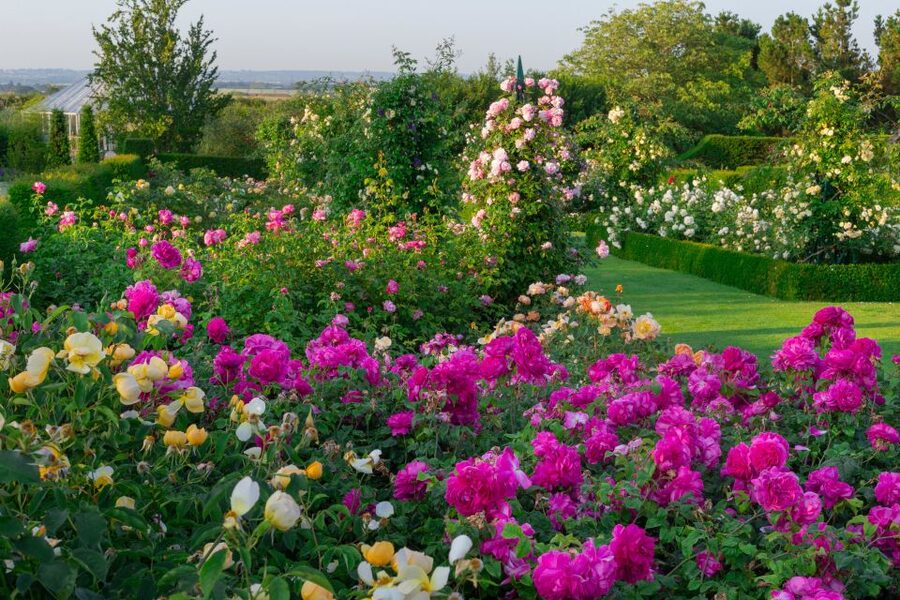 Royal Horticultural Society: Hyde Hall Garden Ticket - Winter Garden and Birch Grove
