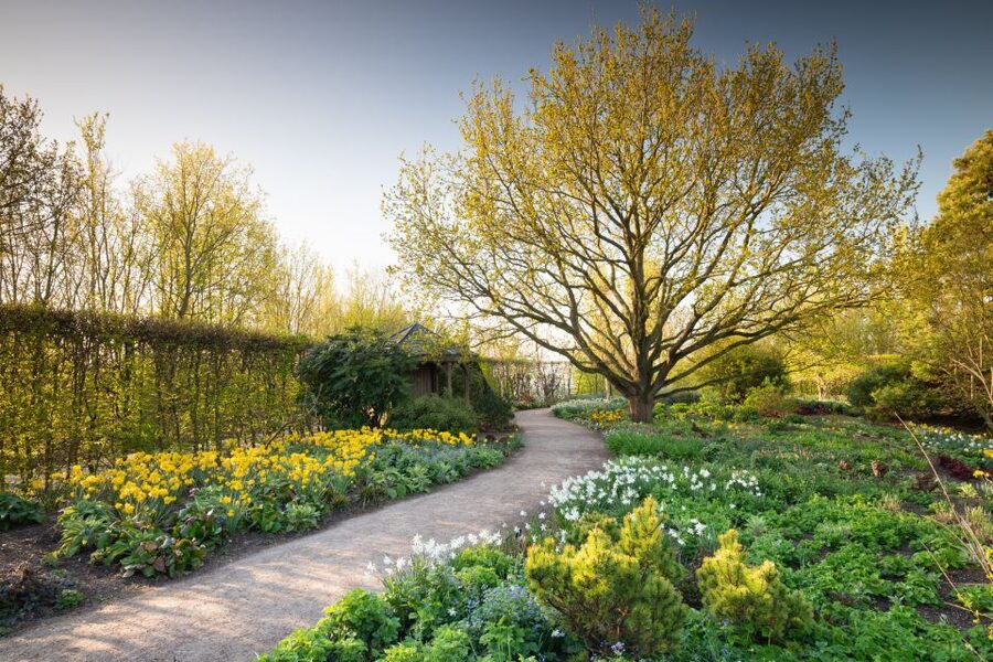 Royal Horticultural Society: Hyde Hall Garden Ticket - Clore Learning Center and Garden