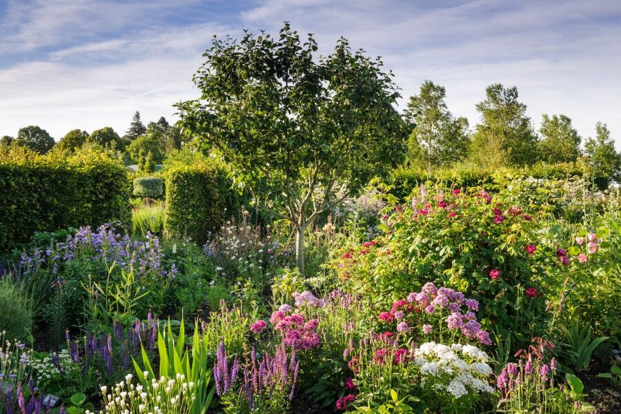 Royal Horticultural Society: Hyde Hall Garden Ticket - Global Growth Vegetable Garden