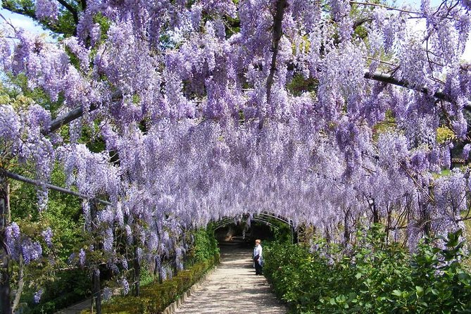 Royal Paths of Florence: Explore the Boboli Gardens - Is the $54.19 price fair?