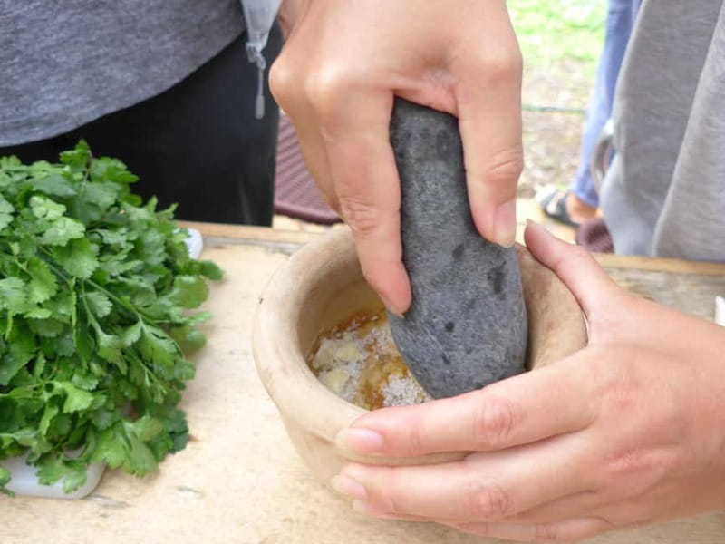 Rural Life Experience: Mojo Workshop and botanical Walk - Why this La Gomera experience feels different