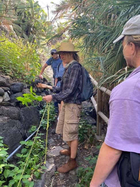 Rural Life Experience: Mojo Workshop and botanical Walk - What the $74 price gives you