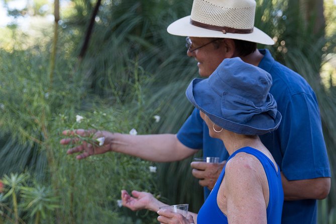 Ruth Bancroft Garden General Admission Ticket - Walking among giant agaves and unusual cacti
