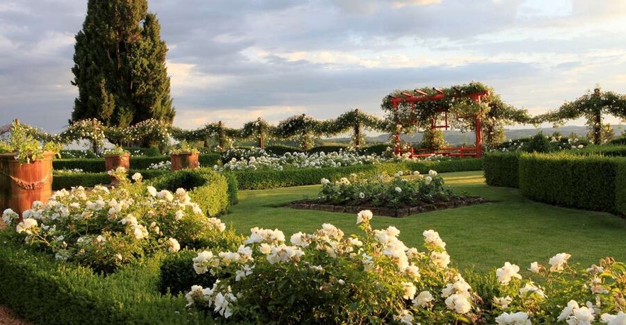 Salignac-Eyvigues: Gardens of Eyrignac Manor Entry Ticket - The white garden and its hill views
