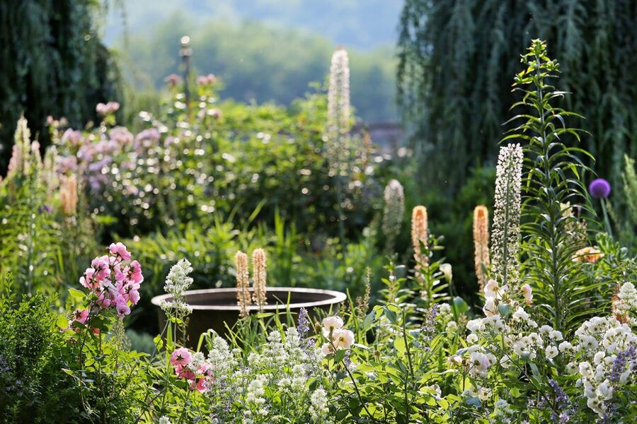 Salignac-Eyvigues: Gardens of Eyrignac Manor Entry Ticket - A full day for $16: Is it good value?