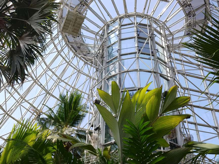 San Antonio: Botanical Garden Admission Ticket - Starting at the admissions kiosk and Garden Gift Shop