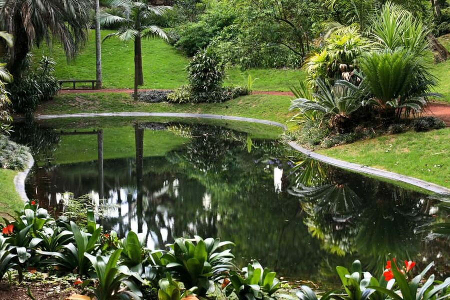 São Miguel: Botanical Gardens and Cave Tour - Why this half-day works on São Miguel