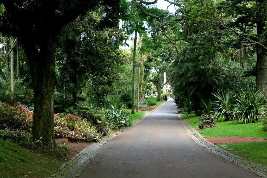 São Miguel: Botanical Gardens and Cave Tour - António Borges Garden: a quiet first look at island plants