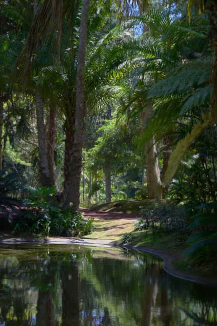 São Miguel: Botanical Gardens and Cave Tour - Who should book this São Miguel tour?