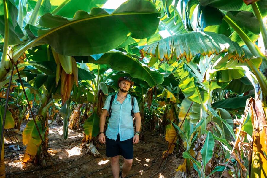 Sapadere Tour with Dimçay Lunch, Cave, Tropical Fruit Garden - Time, walking, and who should book