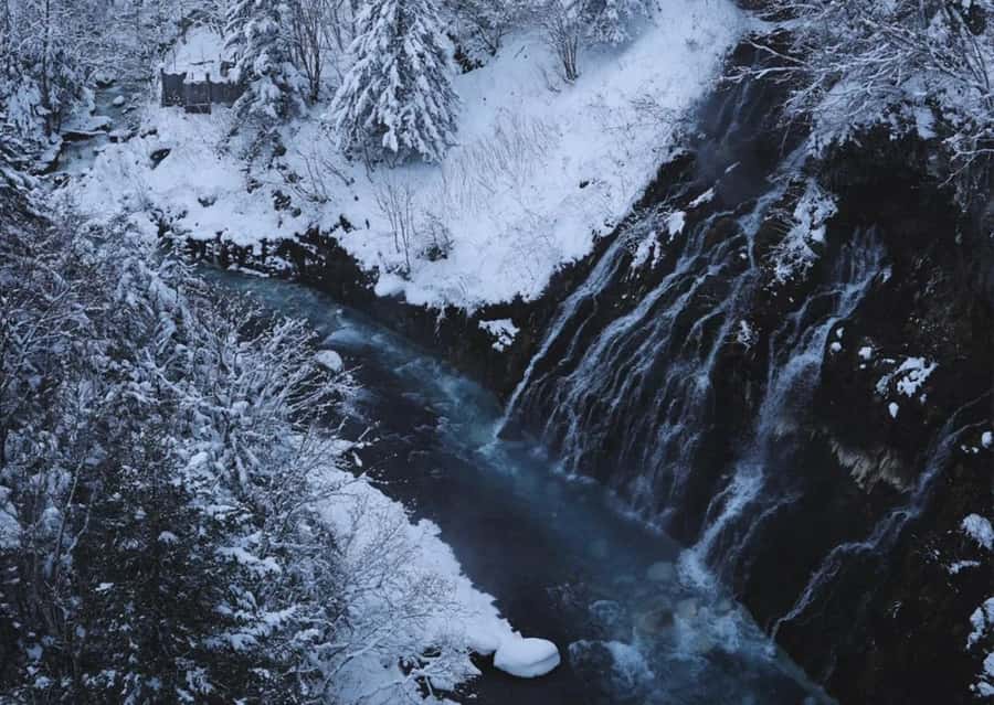 Sapporo: Furano Lavender & Biei Blue Pond Tour with Lunch - How much guiding will you receive?