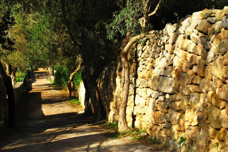 Scenic Tour by Vintage Bus to Buskett Garden & Dingli Cliffs - Key points to know before you book