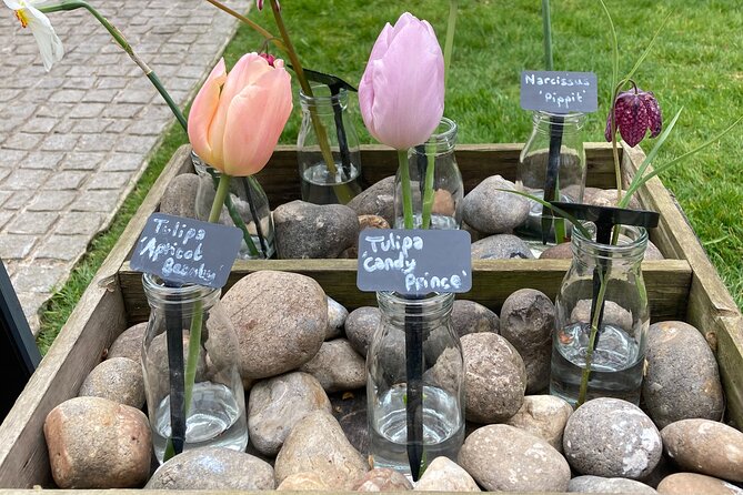 Secret Gardens of London Private Tour - Chelsea Physic Garden and the included high tea