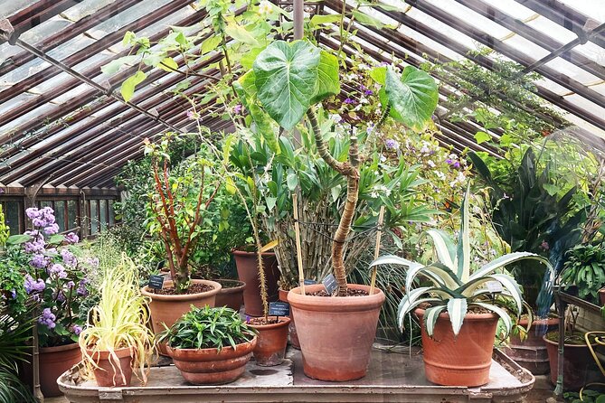 Secret Gardens of London Private Tour - Who will enjoy this experience most