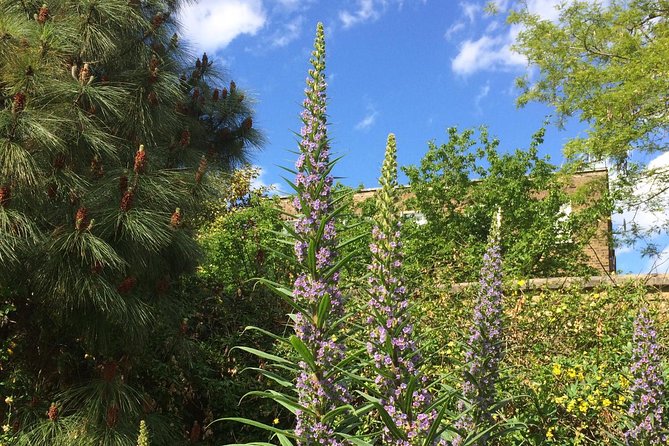 Secret Gardens of London Private Tour - Starting at St Martin in the Fields and Covent Garden