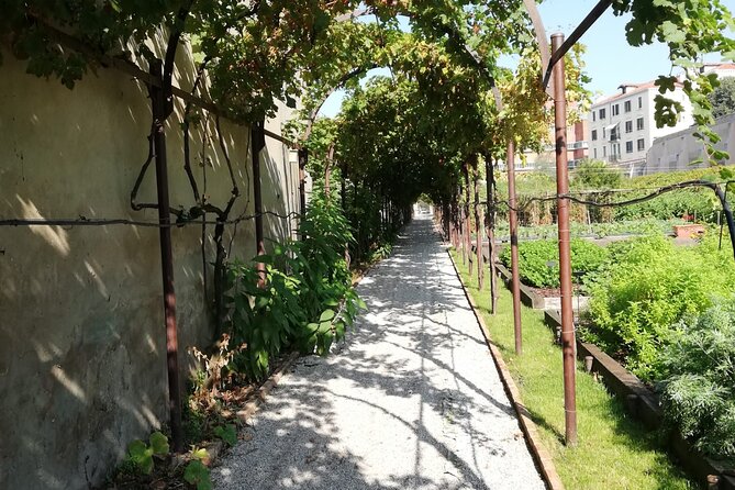 Secret Gardens of Venice Walking Tour - A plant center beside Rio della Misericordia