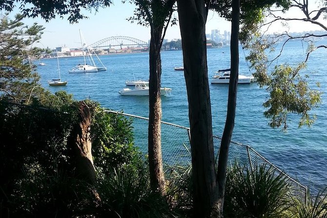 Secret Sydney: Hidden Beaches and Gardens - Why this tour shows a different Sydney