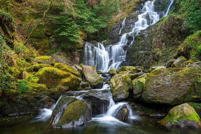 Self-Guided Bike Tour of Killarney National Park, Muckross Gardens & Waterfall - Muckross House and Gardens: the grand opening stop