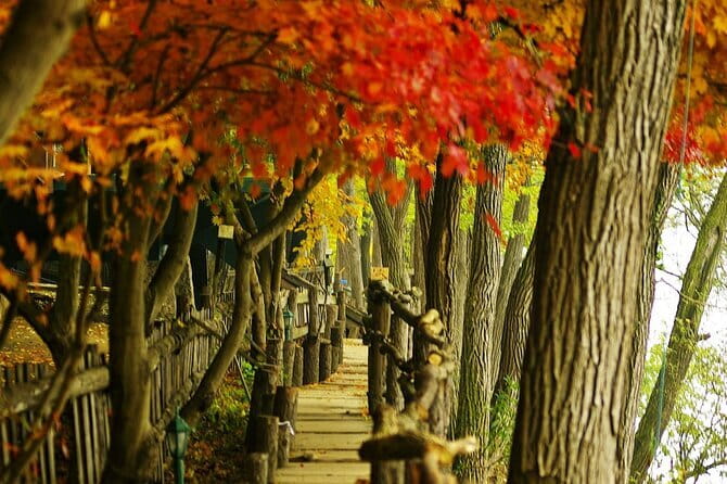 Seoraksan and Cherry Blossom Lake 1 day trip from Seoul - What the $67 price really covers