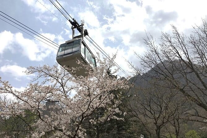 Seoraksan and Cherry Blossom Lake 1 day trip from Seoul - Yeongrangho Lake and the cherry blossoms