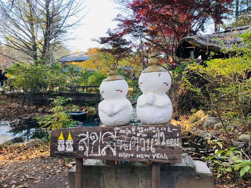 Seoul: Alpaca, Nami, Morning Calm or Eobi (+Rail Bike) - The guides and the way the day is managed