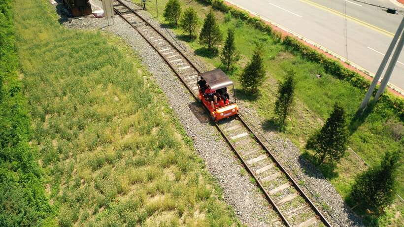 Seoul: Alpaca World and Nami Island (with Garden / Railbike) - Booking details worth checking first