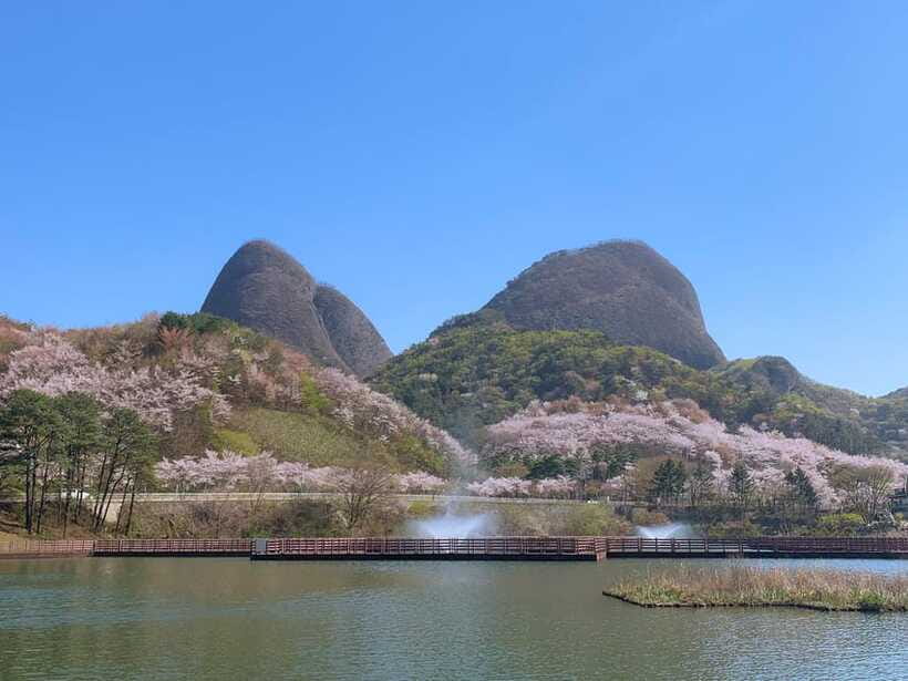 Seoul: Maisan Cherry Blossom and Jeonju Hanok Day Tour - Should You Book the Maisan and Jeonju Tour?