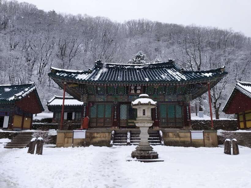 Seoul: Mt.Seorak, Nami Island & Korean Garden, No Shopping - Why this long day trip works