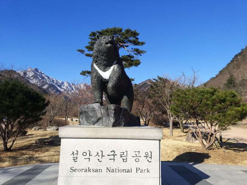 Seoul: Mt.Seorak, Nami Island & Korean Garden, No Shopping - Seoraksan: the day’s strongest natural stop
