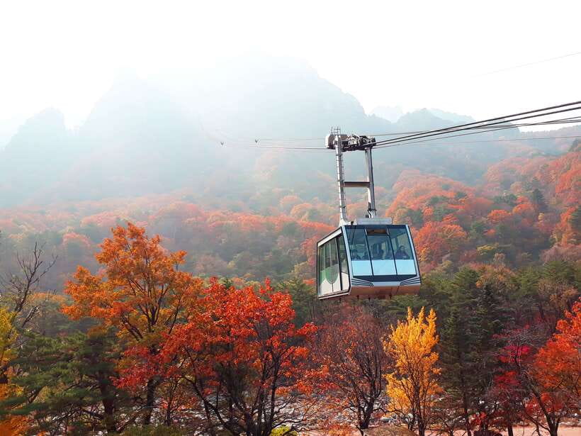 Seoul: Mt.Seorak, Nami Island & Korean Garden, No Shopping - The morning drive from Seoul to Seoraksan