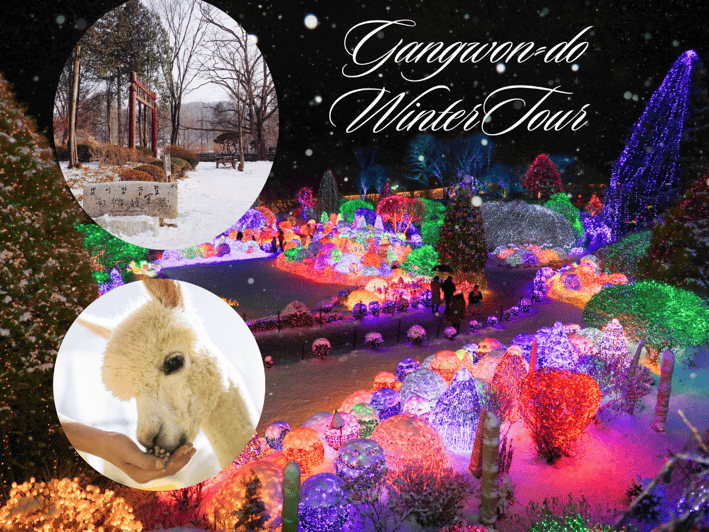 Seoul: Nami and K-Garden with Optional Alpaca Winter Tour - What the $85 tour really gives you