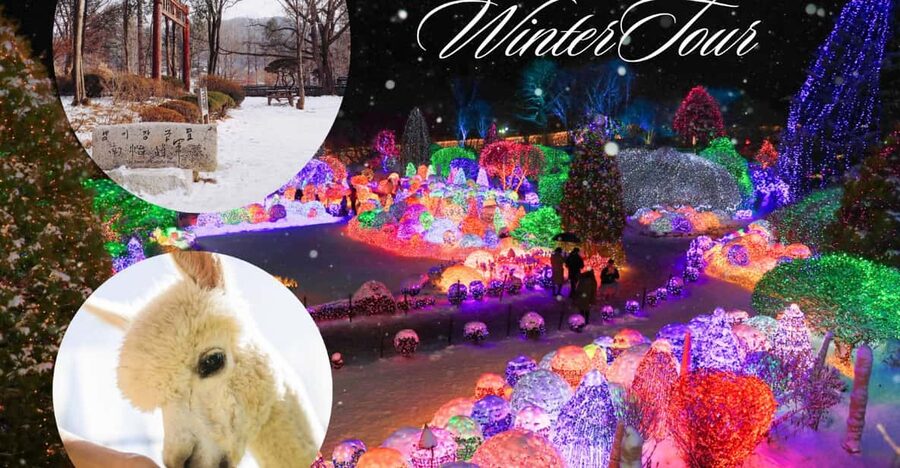 Seoul: Nami and K-Garden with Optional Alpaca Winter Tour - Petite France and Italian Village: colorful, theatrical stops