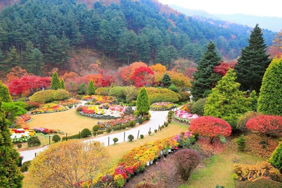 Seoul: Nami and Petite France Tour with Optional K-Garden - Petite France: charming, colorful, and clearly constructed