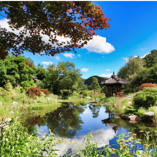 Seoul: Nami and Petite France Tour with Optional K-Garden - Italian Village and the Pinocchio and Da Vinci themes