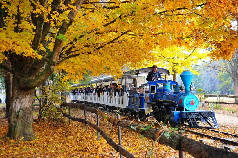 Seoul: Nami Island, Alpaca World, Morning Calm Garden - The coach schedule and what the long day feels like