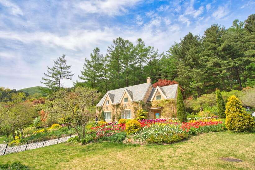Seoul: Nami Island and Garden of Morning Calm opt Railbike - Key points before you book