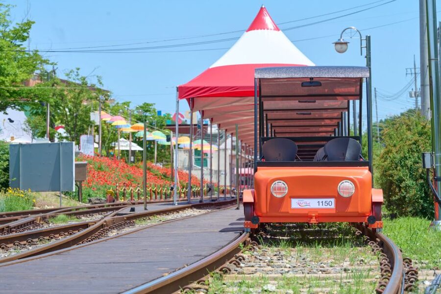 Seoul: Nami Island and Garden of Morning Calm opt Railbike - Should you book the railbike option?