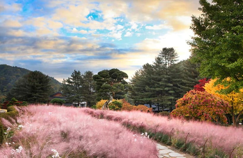 Seoul: Nami Island and Garden of Morning Calm opt Railbike - The Garden of Morning Calm, Korea in carefully shaped form