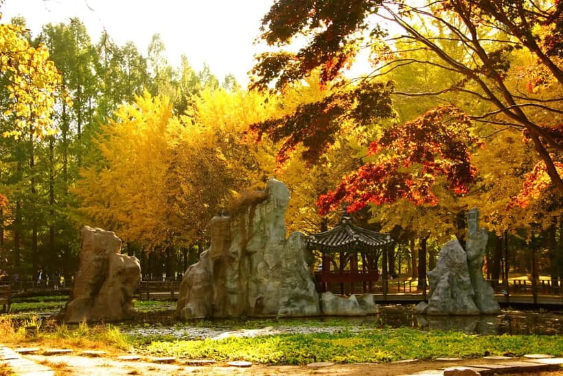 Seoul: Nami Island and Garden of Morning Calm opt Railbike - What lunch is like on a day without meals included
