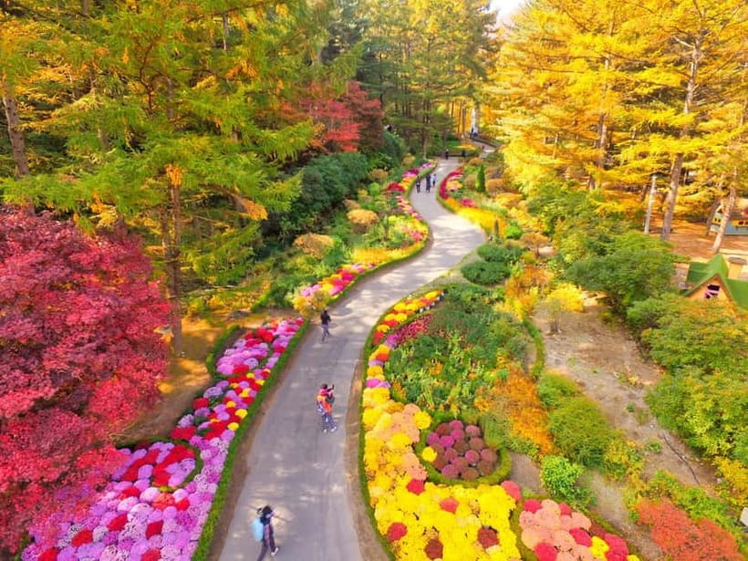 Seoul: Nami Island and Garden of Morning Calm opt Railbike - How the timing affects your day