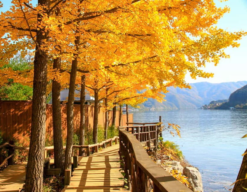 Seoul: Nami Island and Garden of Morning Calm opt Railbike - Who will enjoy this day trip most?