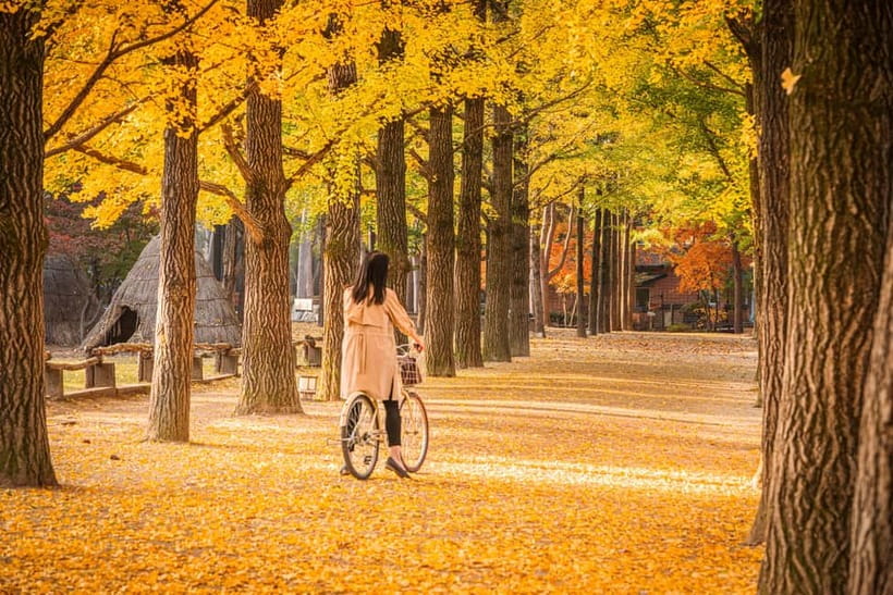 Seoul: Nami Island and Garden of Morning Calm opt Railbike - Gangchon Railbike: the most playful option