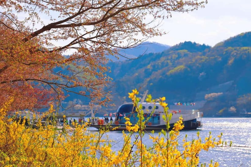Seoul: Nami Island, Garden and Petite France (opt. Railbike) - Key points at a glance