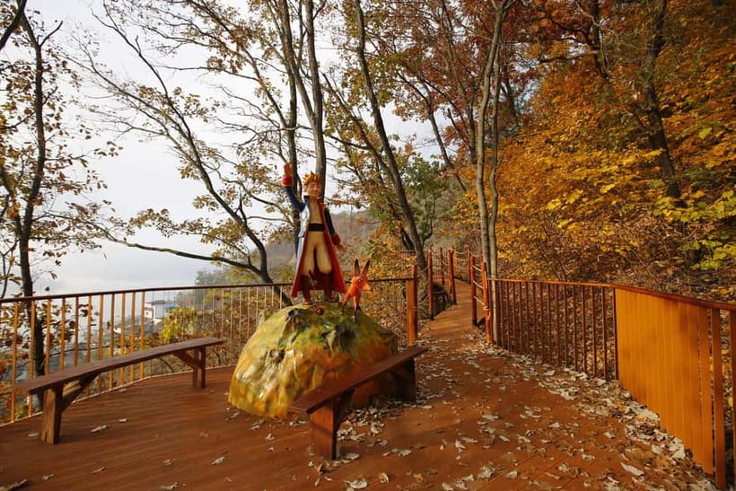 Seoul: Nami Island, Garden and Petite France (opt. Railbike) - Nami Island deserves your best attention