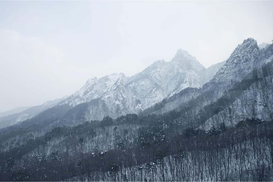 Seoul: Nami, Rail Bike, Morning Garden (+Healing Park) - Key points at a glance