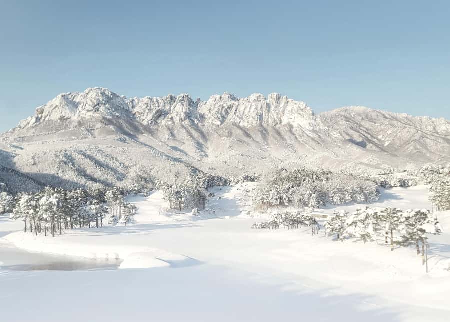 Seoul: Nami, Rail Bike, Morning Garden (+Healing Park) - Why this day trip works from Seoul